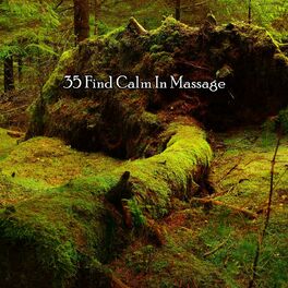 Album cover of 35 Find Calm In Massage