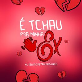Album cover of É Tchau pra Minha Ex