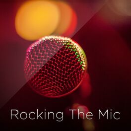 Album cover of Rocking the Mic, Vol. 28