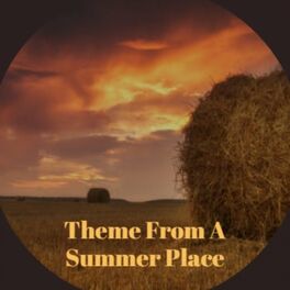 Album cover of Theme From A Summer Place