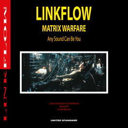 Album cover of Linkflow - Matrix Warfare