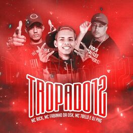 Album cover of Tropa do 12 (Remix)