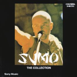 Album cover of The Collection