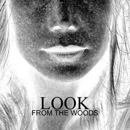 Album cover of From the Woods