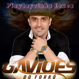 Album cover of Playboyzinha Louca