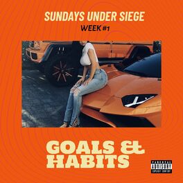 Album cover of Goals & Habits