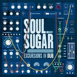 Album cover of Excursions in Dub