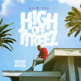 Album cover of High Off TTreez