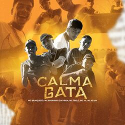 Música Calma Gata - Mc Kevin (Com Mc 7Belo, Mc Vk, Mc Bruninho da Praia, Mc Brinquedo) (2020) 