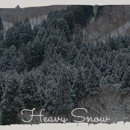 Album cover of Heavy Snow