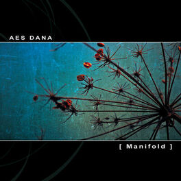 Album cover of Manifold