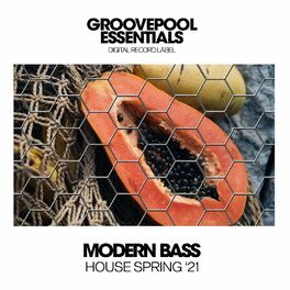 Album cover of Modern Bass House (Spring '21)