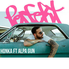 Album cover of Perfekt
