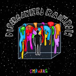 Album cover of Disorganized Rainbow