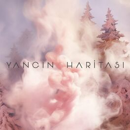 Album cover of Yangın Haritası