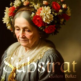 Album cover of Substrat