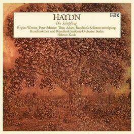 Album cover of Haydn: Die Schöpfung