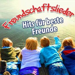 Album cover of Freundschaftslieder (Hits für beste Freunde)
