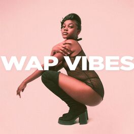 Album cover of WAP Vibes