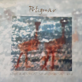Album cover of Potiguar