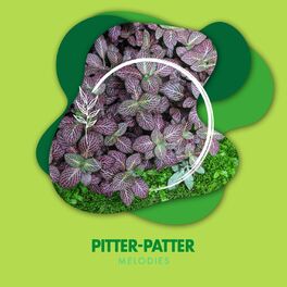 Album cover of Pitter-Patter Melodies