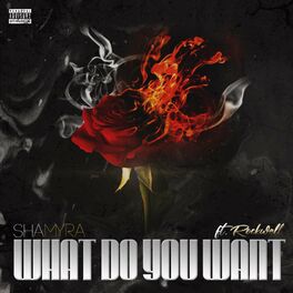 Album cover of What do you Want (feat. Rockwell)