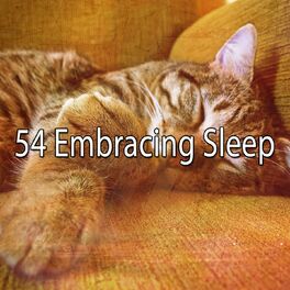 Album cover of 54 Embracing Sle - EP