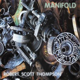 Album cover of Manifold