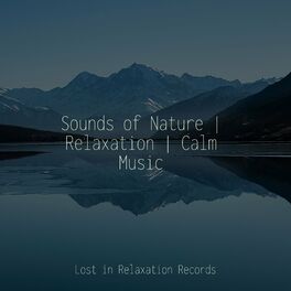 Lost Forest - música y letra de Yoga Society, Relaxing Spa Music,  Meditation Music