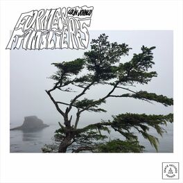 Album cover of Formes familières