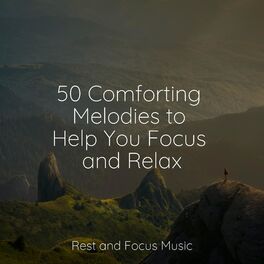 Album cover of 50 Comforting Melodies to Help You Focus and Relax
