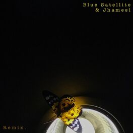 Album cover of Remix.
