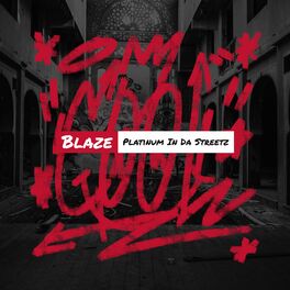 Album cover of Platinum In Da Streetz