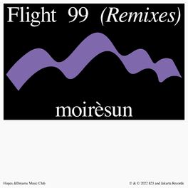 Album cover of Flight 99 (moirésun Remix)