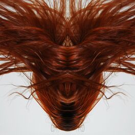 Album cover of A Collection Of Hair
