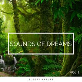 Album cover of 2022 Sounds of Dreams vol. 1