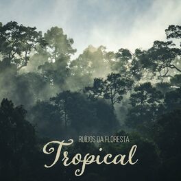 Album cover of Ruídos da Floresta Tropical: Sons Exóticos Relaxantes e Curativos