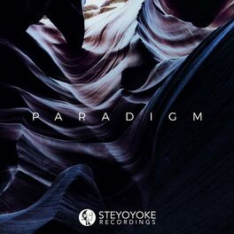Album cover of Steyoyoke Paradigm, Vol. 03