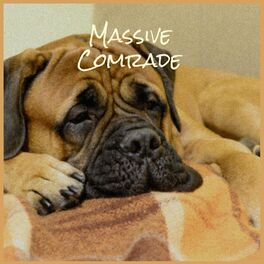 Album cover of Massive Comrade