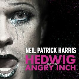 Album cover of Hedwig And The Angry Inch Original Broadway Cast Recording