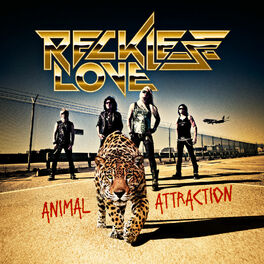 Album cover of Animal Attraction
