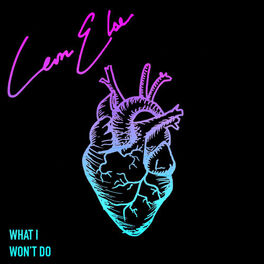 Album cover of What I Won't Do