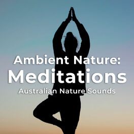 Album cover of Ambient Nature: Meditations