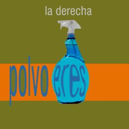 Album cover of Polvo Eres