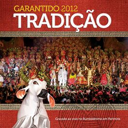 Album cover of Garantido 2012 Tradição (Ao Vivo)