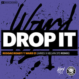 Album cover of Drop It (feat. Ward 21) (Aries & Kelvin 373 Remix)