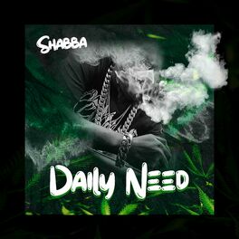 Album cover of Daily Need