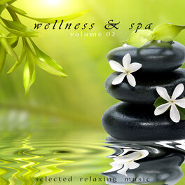 Album cover of Wellness & Spa Volume 2
