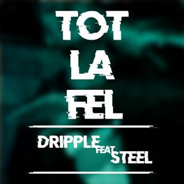 Album cover of Tot la fel