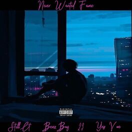 Album cover of Never Wanted Fame (feat. StillCT, 23 & Yns Von)